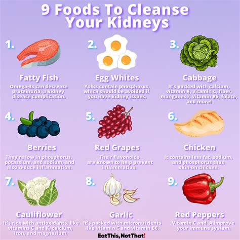 Cleansing Your Kidneys: Safe Diet Choices for Kidney Health