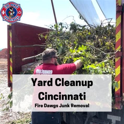 Cleanup - Cincinnati & Hamilton County Public Library - OverDrive