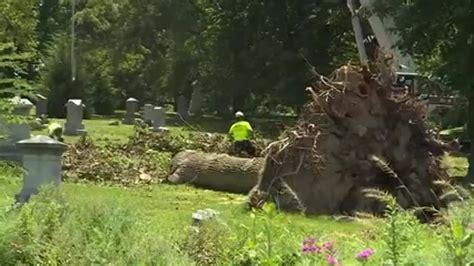 Cleanup continues for 2 historic north St. Louis cemeteries after severe storm