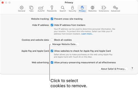 Clear Private Data Caches and Cookies on Mac