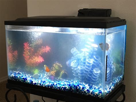 Clear water aquarium. Clear Water Aquarium, 1080 Saratoga Ave, San Jose, CA 95129: See 135 customer reviews, rated 4.5 stars. Browse 64 photos and find hours, menu, phone number and more. 