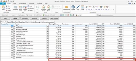 Clearing Account Balances in the Trial Balance Caseware