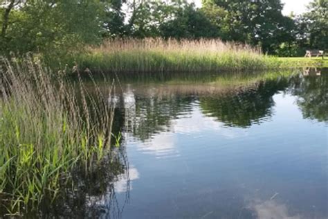 Cleatham Trout Fishery - Welcome to carpfishinglakes