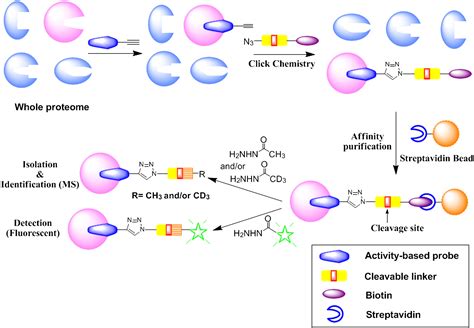 Cleavable linkers in chemical biology - ScienceDirect