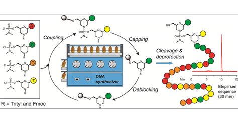 Cleavage and Deprotection of Unmodified Trityl-On DNA …