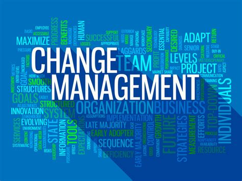 Clemens B. – Head of Change Management Technology