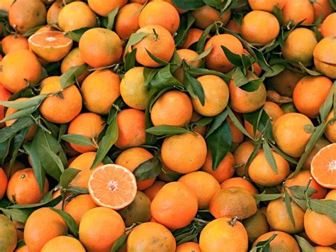 Profile picture of Clementina Romaguera