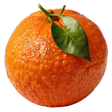 💦 Clementine_Free Onlyfans Leak +18