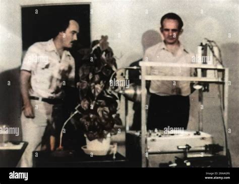 Cleve backster cell experiment