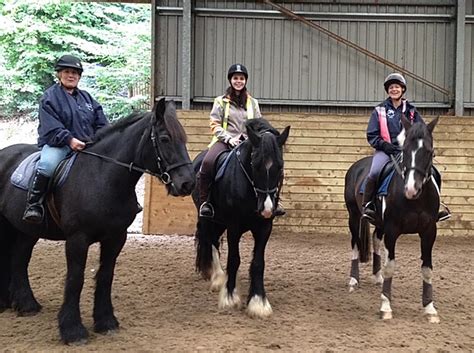 Clevedon Riding Club Centre - The Horse Life