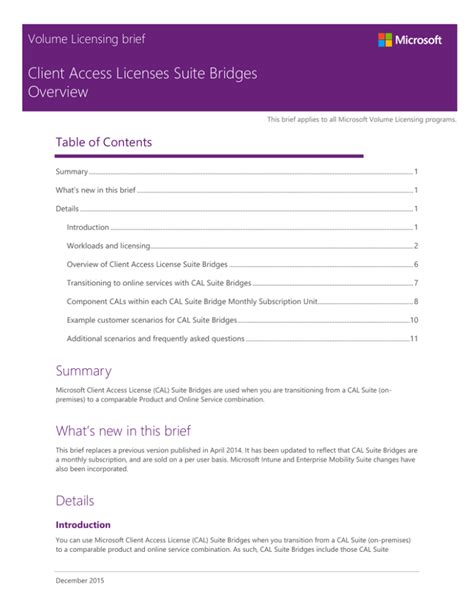 Client Access Licenses Suite Bridges Overview