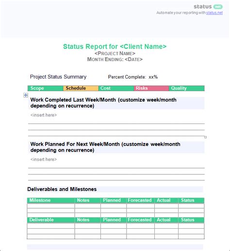 Client Progress Report Template Google Docs, Word