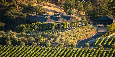 Cliff lede vineyards. Sr. Director National Sales. Cliff Lede Vineyards. May 2021 - May 2022 1 year 1 month. Napa, California, United States. 