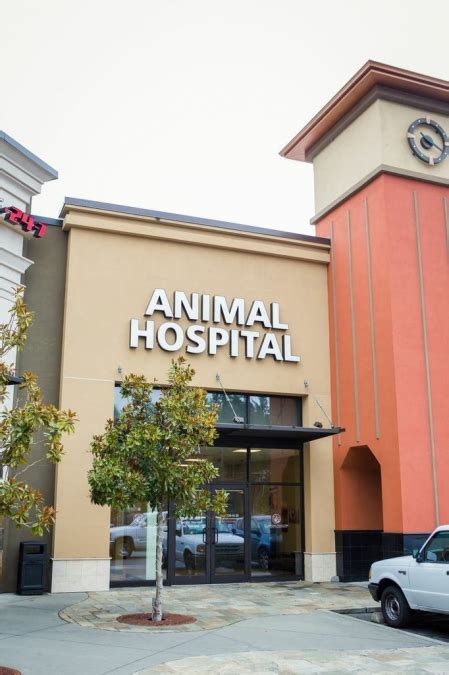 Clifton Hollow Animal Hospital hiring Veterinary Assistant