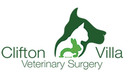 Clifton Villa Veterinary Surgery - Newquay