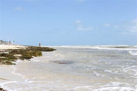 Clima Djerba: Temperature, Precipitazioni, Fuso Orario, Quando …