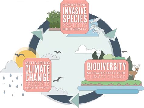 Climate Change and Invasive Species