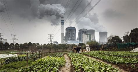 Global climate change will challenge sustainable development in the 21st century. Recent evidence indicates that human-induced global warming is already occurring. In particular, changes in atmospheric temperature, sea levels, and precipitation patterns will impact the natural environment, agricultural activities, human settlement and health.. 