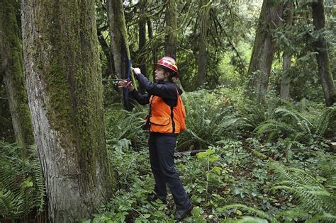 Climate change is hastening the demise of Pacific Northwest forests