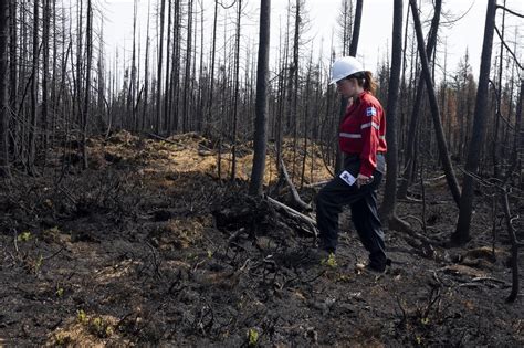 Climate change made worst Quebec fire weather twice as likely, more intense: study