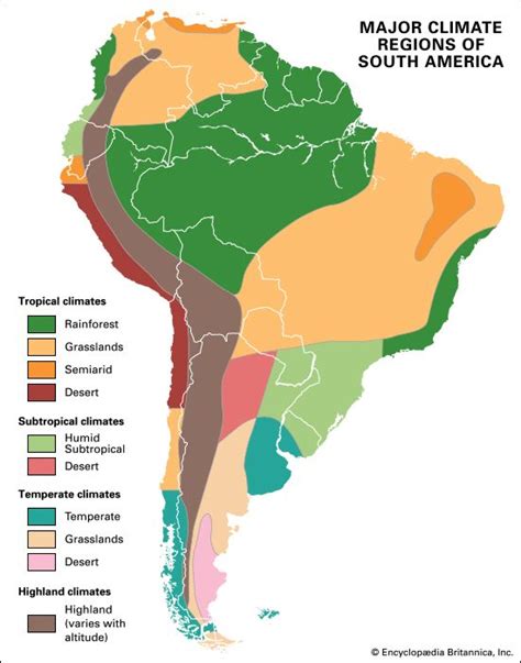 South America. South America - Rainforest, Flora, Faun