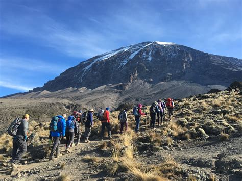 Climbing mt kilimanjaro. Every one of our Kilimanjaro expeditions is led by an Alpine Ascents mountain guide. Along with our lead guide, we employ highly experienced local guides and generally … 