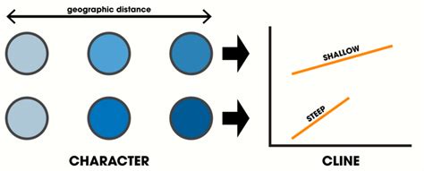 🍆 Cline Leaked [CLIP] 127 Pics