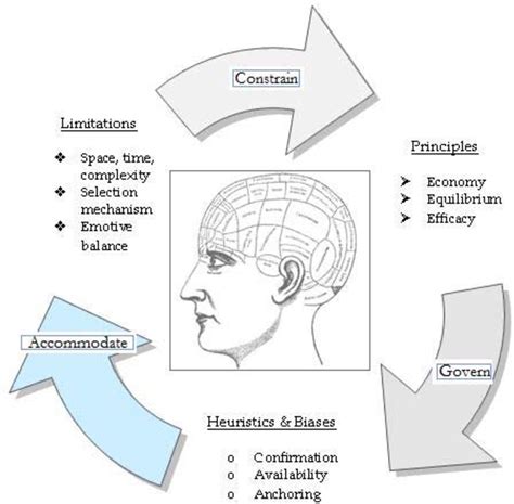 Clinging to discredited beliefs: the larger cognitive story