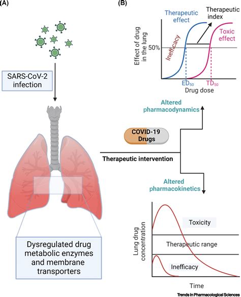 Clinical Drug-Drug Pharmacokinetic Interaction Potential of