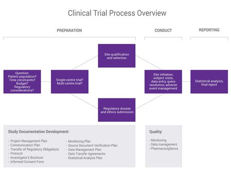 Clinical Trial Project Plan Template