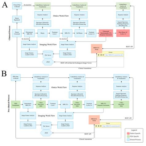Clinical Workflow Workflow