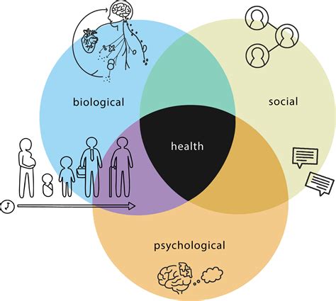 Clinical - Clinical health psychology involves researching and recomm