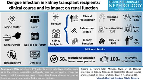 Clinical course of dengue fever and its impact on renal ... - PubMed