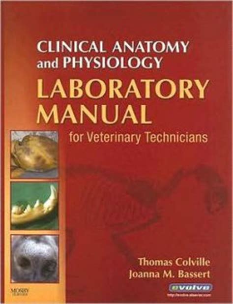 Download Clinical Anatomy And Physiology For Veterinary Technicians With Laboratory Manual By Thomas P Colville