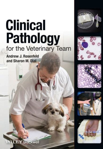 Download Clinical Pathology For The Veterinary Team With Dvd By Andrew J Rosenfeld