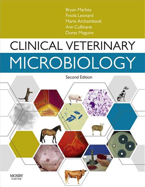 Read Clinical Veterinary Microbiology By Bryan K Markey