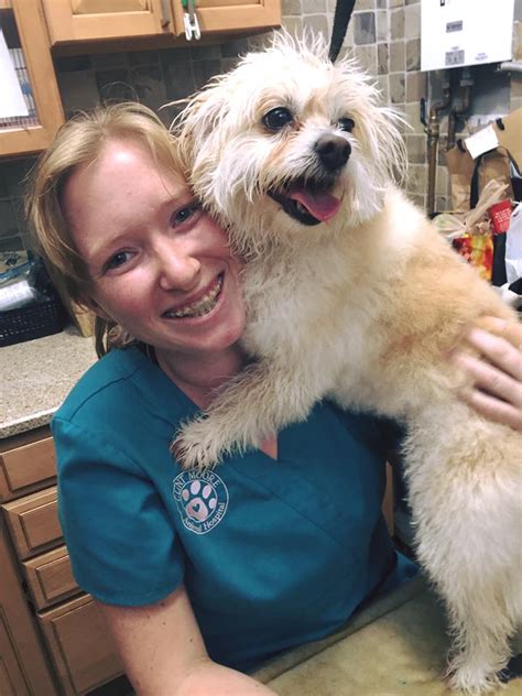 Clint moore animal hospital. Pet sitting or boarding: ... DVM at Clint Moore Animal Hospital. “Let them know you’re a first-time pet owner because there are so many things that you need to know. Like their vaccine ... 