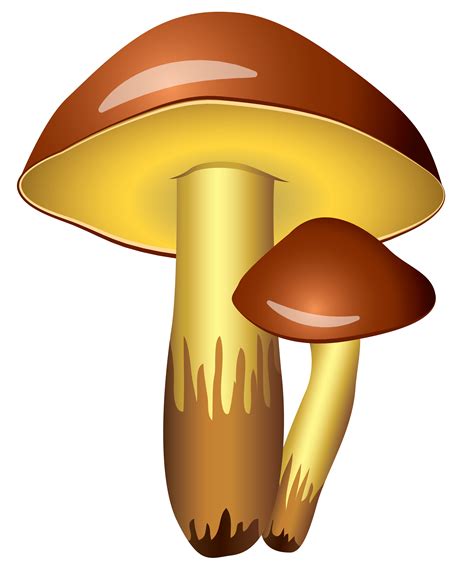 Mushrooms images on mushrooms clip art and. Mushroom Clipart Views: 1890 Downloads: 40 Filetype: JPEG Filsize: 67 KB Dimensions: 736x766. Download clip art.
