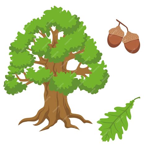 Clip art oak tree with acorns image