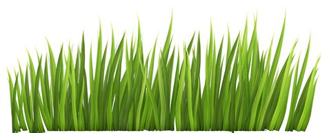 Clip art of grass. Things To Know About Clip art of grass. 