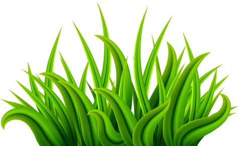 Clipart grass. Things To Know About Clipart grass. 