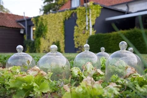 Cloches & Tunnels from Mr Fothergill