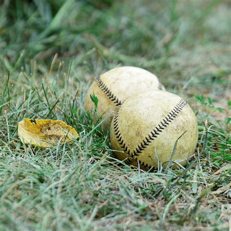 Clodbuster Base Ball Club Dayton OH