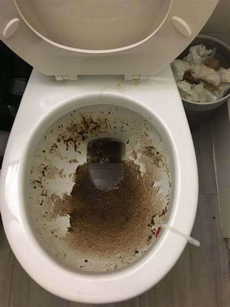 Clogged toilet with poop. Hold the snake vertically and insert the tip carefully into the bowl so that the metal tip doesn’t scratch the porcelain (remember, it’s very easy to scratch the porcelain). Then use the ... 