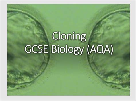 Cloning (GCSE Biology AQA) Teaching Resources