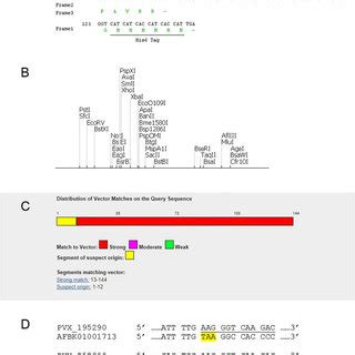 Cloning vector source sequence contamination in PlasmoDB. a: A …