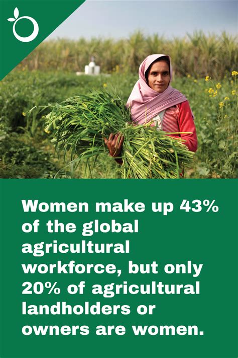 Close agriculture gender gap to enhance global food security