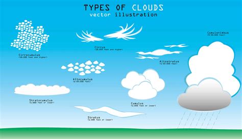 Cloud Forms