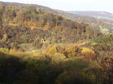 Clough Wood