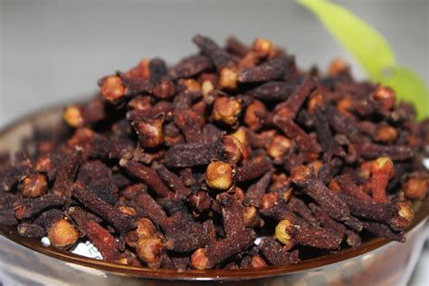 Clove stock price. Things To Know About Clove stock price. 